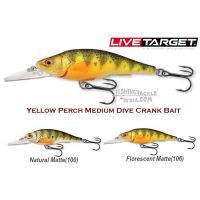 LIVE TARGET  Yellow Perch Medium Dive Crank Bait