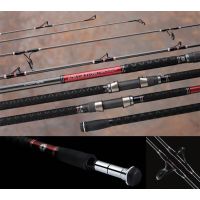 Daiwa Fishing rod Saltiga Surf 11Ft Casting Rod